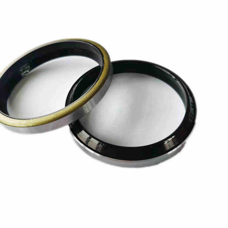 Anello parapolvere cassa in ferro GA / Anello di tenuta bidirezionale DKB dkbi Anello di tenuta alternativo