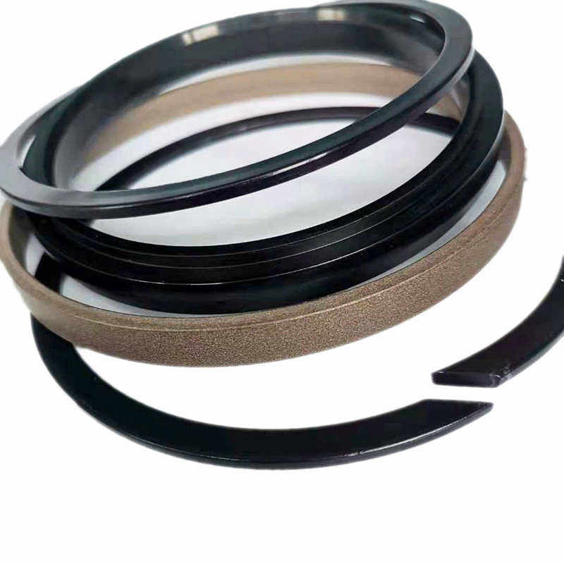 Serie di paraolio assemblati design di tenuta combinata con pistone in gomma nitrilica e gomma fluorurata AQ CQ JAQ